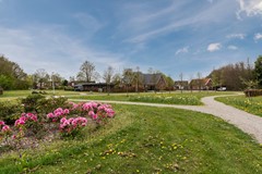 Musselweg 73 Mussel 77 of 78.jpg